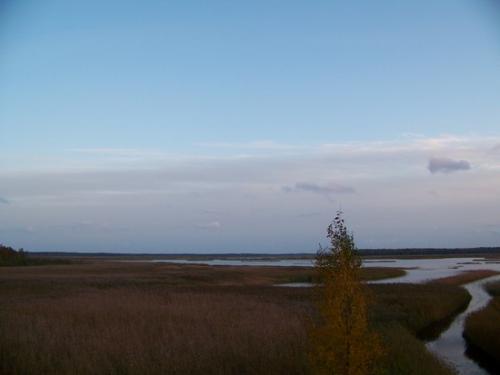 Weite Seenlandschaft (100_0956.JPG) wird geladen. Eindrucksvolle Fotos aus Lettland erwarten Sie.